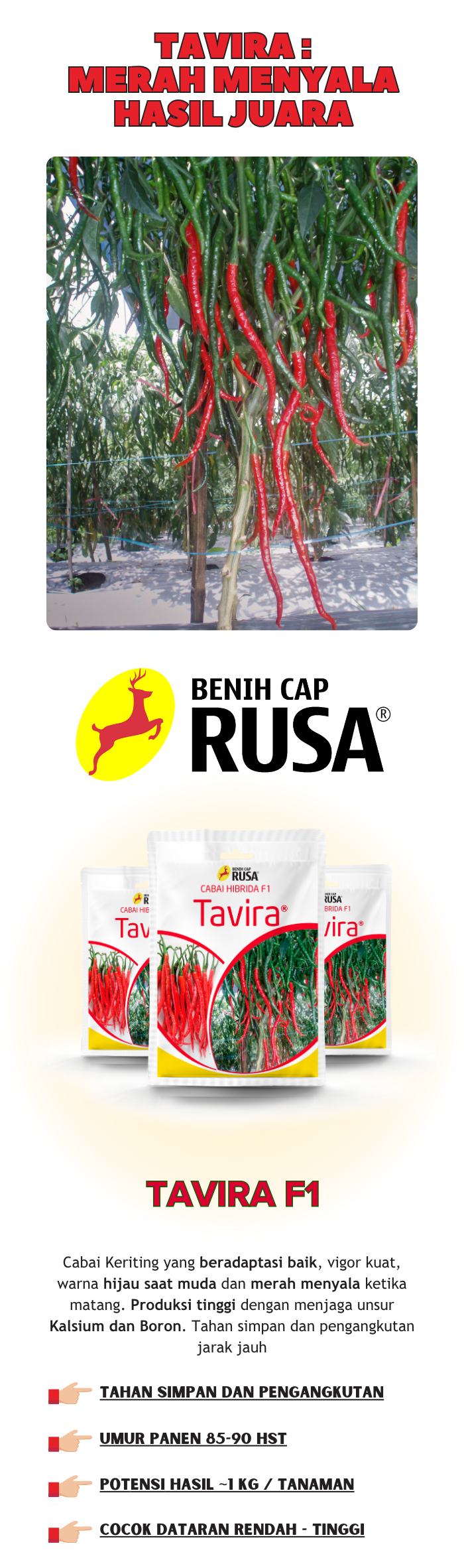 Gallant F1 Benih Cap Rusa